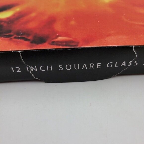 Prima Donna Glass Serving Platter 12" Square Reverse Painted Tomato New - Picture 4 of 7